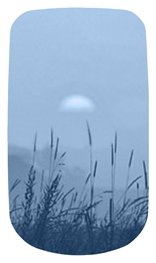 DAROYAL 334 BL Harvest Sunrise Blue